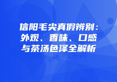 信阳毛尖真假辨别：外观、香味、口感与茶汤色泽全解析