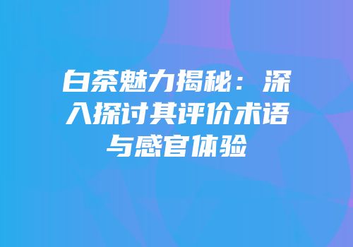 白茶魅力揭秘：深入探讨其评价术语与感官体验