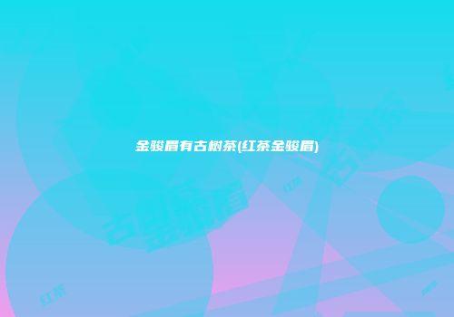 金骏眉有古树茶(红茶金骏眉)