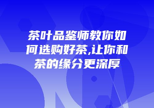 茶叶品鉴师教你如何选购好茶,让你和茶的缘分更深厚