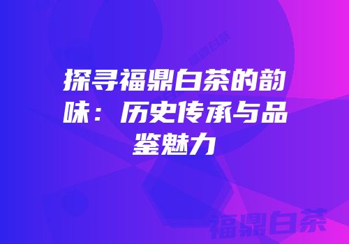 探寻福鼎白茶的韵味：历史传承与品鉴魅力