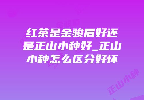 红茶是金骏眉好还是正山小种好_正山小种怎么区分好坏