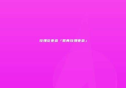 玫瑰花枣茶「常青玫瑰枣茶」