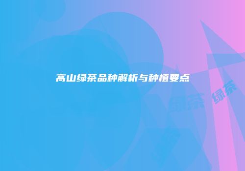 高山绿茶品种解析与种植要点