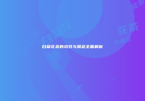 白菊花茶的功效与禁忌全面解析