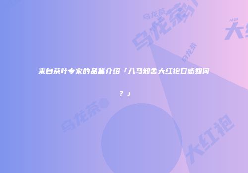 来自茶叶专家的品鉴介绍「八马知舍大红袍口感如何？」