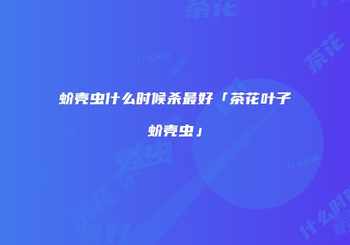 蚧壳虫什么时候杀最好「茶花叶子蚧壳虫」