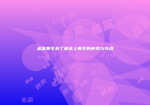 品鉴黄毛茶了解茶上黄毛的种类与特点