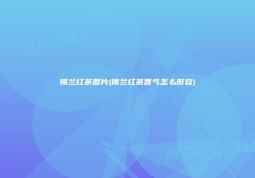 锡兰红茶图片(锡兰红茶香气怎么形容)