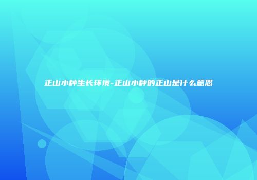 正山小种生长环境-正山小种的正山是什么意思