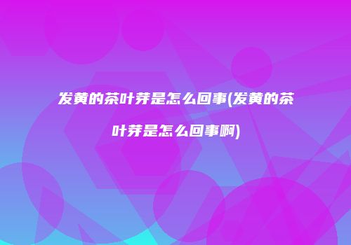 发黄的茶叶芽是怎么回事(发黄的茶叶芽是怎么回事啊)
