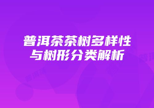 普洱茶茶树多样性与树形分类解析