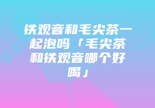 铁观音和毛尖茶一起泡吗「毛尖茶和铁观音哪个好喝」