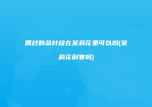 喝过的茶叶放在茉莉花里可以吗(茉莉花耐寒吗)