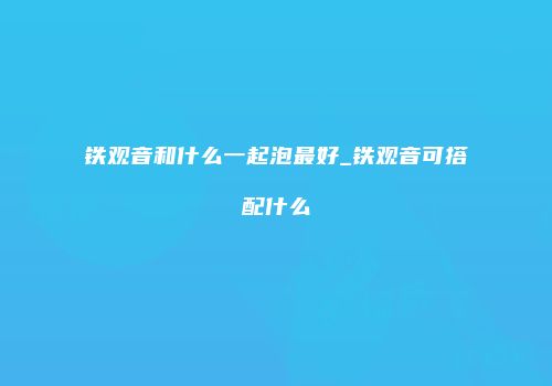 铁观音和什么一起泡最好_铁观音可搭配什么