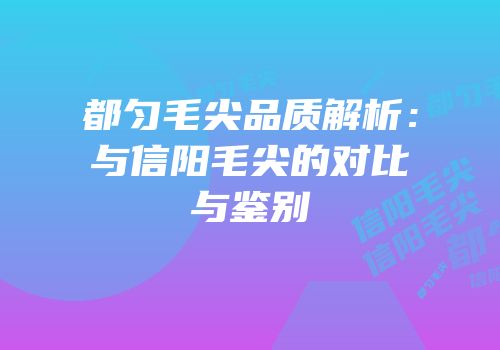 都匀毛尖品质解析：与信阳毛尖的对比与鉴别