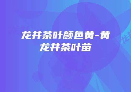 龙井茶叶颜色黄-黄龙井茶叶苗