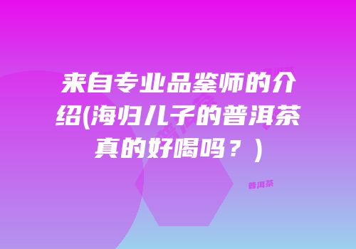 来自专业品鉴师的介绍(海归儿子的普洱茶真的好喝吗？)
