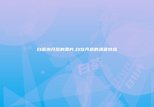 白茶泡开后的图片,白牡丹茶的汤色特点