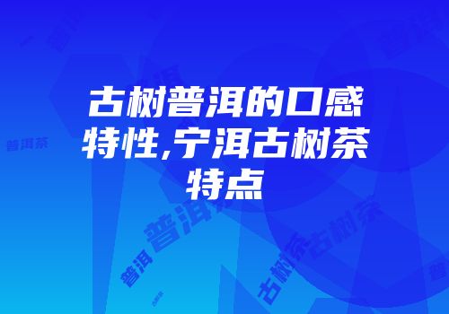 古树普洱的口感特性,宁洱古树茶特点