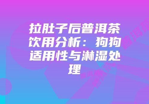 拉肚子后普洱茶饮用分析：狗狗适用性与淋湿处理