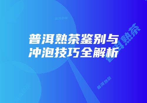 普洱熟茶鉴别与冲泡技巧全解析