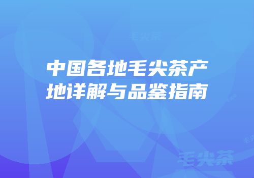 中国各地毛尖茶产地详解与品鉴指南