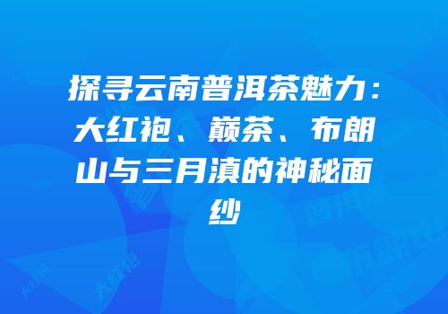 探寻云南普洱茶魅力：大红袍、巅茶、布朗山与三月滇的神秘面纱