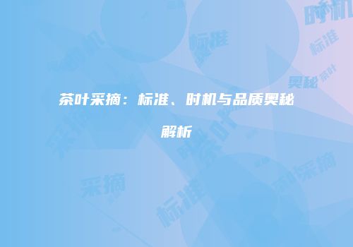 茶叶采摘：标准、时机与品质奥秘解析