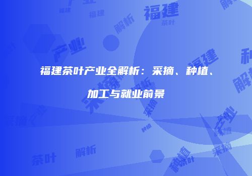 福建茶叶产业全解析：采摘、种植、加工与就业前景