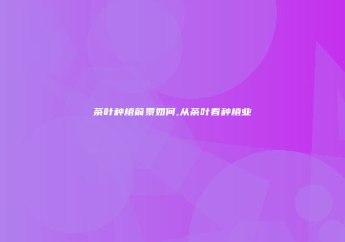 茶叶种植前景如何,从茶叶看种植业