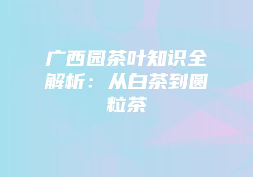 广西园茶叶知识全解析：从白茶到圆粒茶