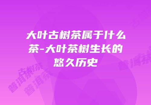 大叶古树茶属于什么茶-大叶茶树生长的悠久历史