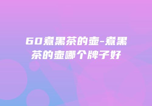 60煮黑茶的壶-煮黑茶的壶哪个牌子好