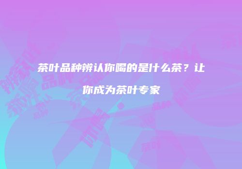 茶叶品种辨认你喝的是什么茶？让你成为茶叶专家