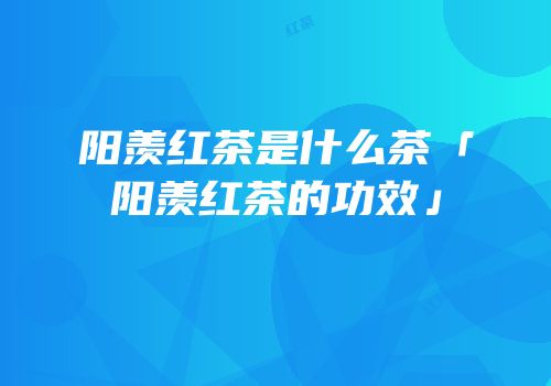 阳羡红茶是什么茶「阳羡红茶的功效」