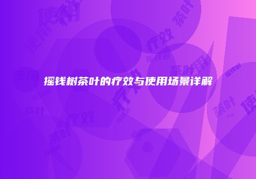 摇钱树茶叶的疗效与使用场景详解