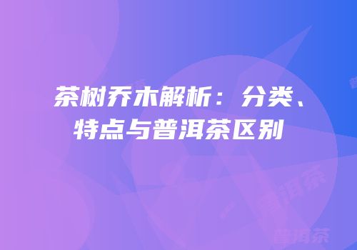 茶树乔木解析：分类、特点与普洱茶区别
