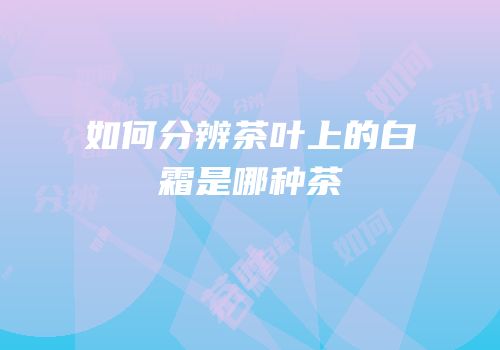 如何分辨茶叶上的白霜是哪种茶