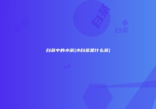 白茶中的小茶(小白茶是什么茶)