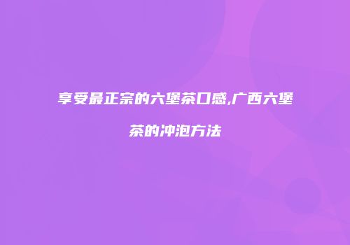 享受最正宗的六堡茶口感,广西六堡茶的冲泡方法