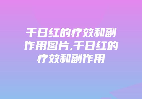 千日红的疗效和副作用图片,千日红的疗效和副作用