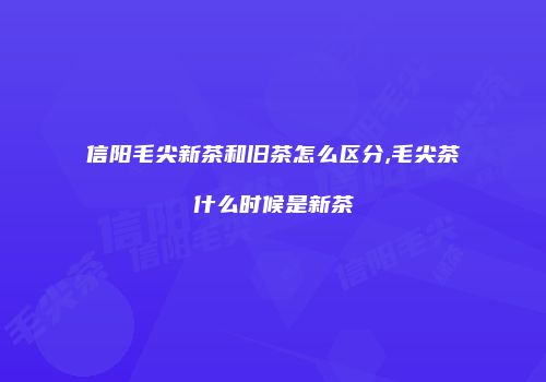 信阳毛尖新茶和旧茶怎么区分,毛尖茶什么时候是新茶