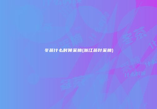 冬茶什么时候采摘(浙江茶叶采摘)