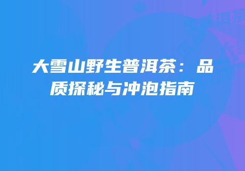 大雪山野生普洱茶：品质探秘与冲泡指南