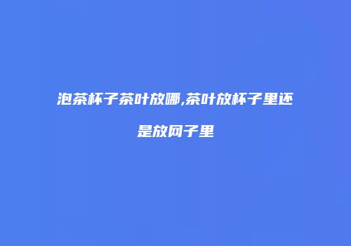 泡茶杯子茶叶放哪,茶叶放杯子里还是放网子里