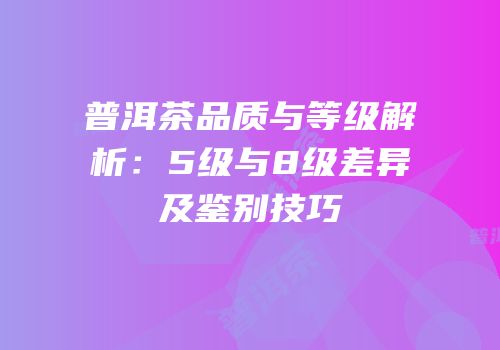 普洱茶品质与等级解析：5级与8级差异及鉴别技巧
