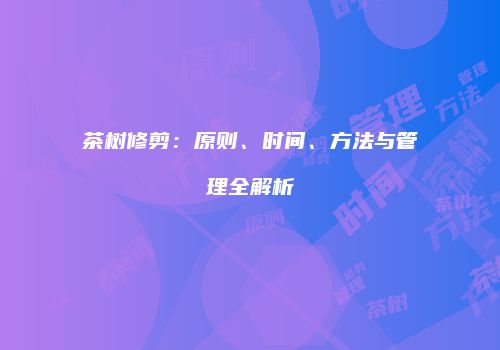 茶树修剪：原则、时间、方法与管理全解析