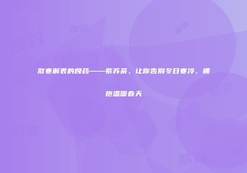 散寒解表的良药——紫苏茶，让你告别冬日寒冷，拥抱温暖春天