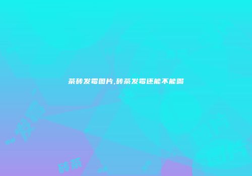 茶砖发霉图片,砖茶发霉还能不能喝